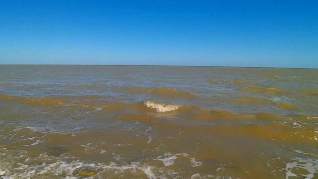 Последний день июля. Вода мутная, медузы есть!