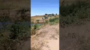отдых на рыбалке