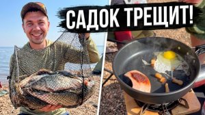 Нашли БЕЗЛЮДНОЕ МЕСТО! Садок трещит от лещей +завтрак на рыбалке