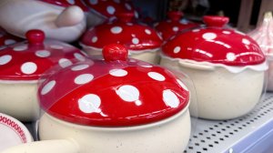 💙 ЛЕНТА 💙 КУПИЛА СРАЗУ НА КУХНЮ 🍄 Обзор новинок к осени и красивая грибная коллекция 🍄🟫