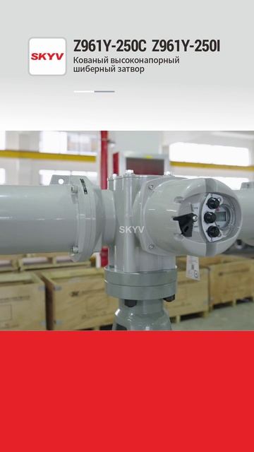 Z961Y-250C Z961Y-250I Кованый высоконапорный шиберный затвор-SKYV