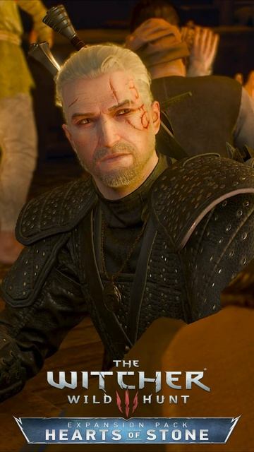 МЕЛКИМ ШРИФТОМ. Гюнтер Геральту о контракте Witcher 3 Hearts Of Stone #shorts