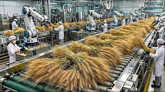 Внутри самой передовой фабрики пасты и хлеба в мире!