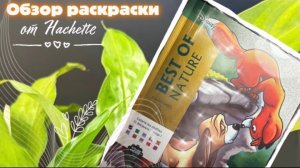 Обзор раскраски Hachette Best of Natura 🌸