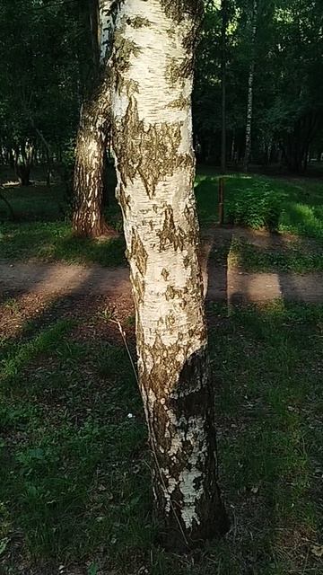 Красота природы