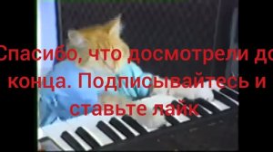 задавайте вопросы в комментарии (Пушок)
