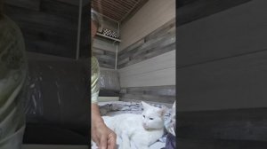 Не было времени ждать когда она покушает сама, поэтому покормила сама