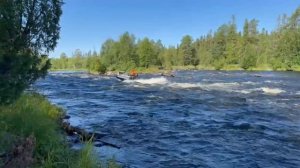 водомет tohatsu 18 плюс Флагман 370 ДК игла jet. Карелия. Онда. порог Ромака(Резвый).
