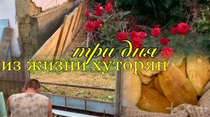 Адыгея/ Жизнь на юге/ Очередные опалубки/Сливочные пирожки/ Будем наводить порядок/26.07.26