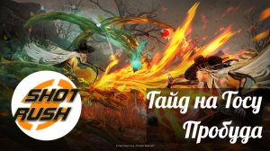 Гайд на Тосу в Пробуде | Разбор умений и билды