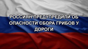 Россиян предупредили об опасности сбора грибов у дороги