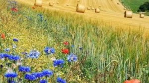 СП Добиваю недовязы 5/2026 Отчёт 27 с Мариной Стоговой