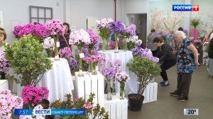 Вести Санкт-Петербург. Выпуск 07.35 от 31.07.2026