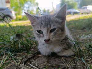 Мой 1 эфир заходите пожалуйста жду