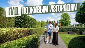 ВСЁ О ЖИВЫХ ИЗГОРОДЯХ ЗА 15 МИНУТ: ВИДЫ, УХОД, РАСТЕНИЯ