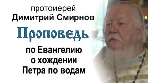 Проповедь по Евангелию о хождении Петра по водам (2016.08.21). Протоиерей Димитрий Смирнов