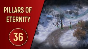 PILLARS OF ETERNITY - ЧАСТЬ 36 - СУРОВЫЕ МЕСТНЫЕ