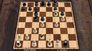 ШАХМАТЫ чтобы занять время подвигал фигурки