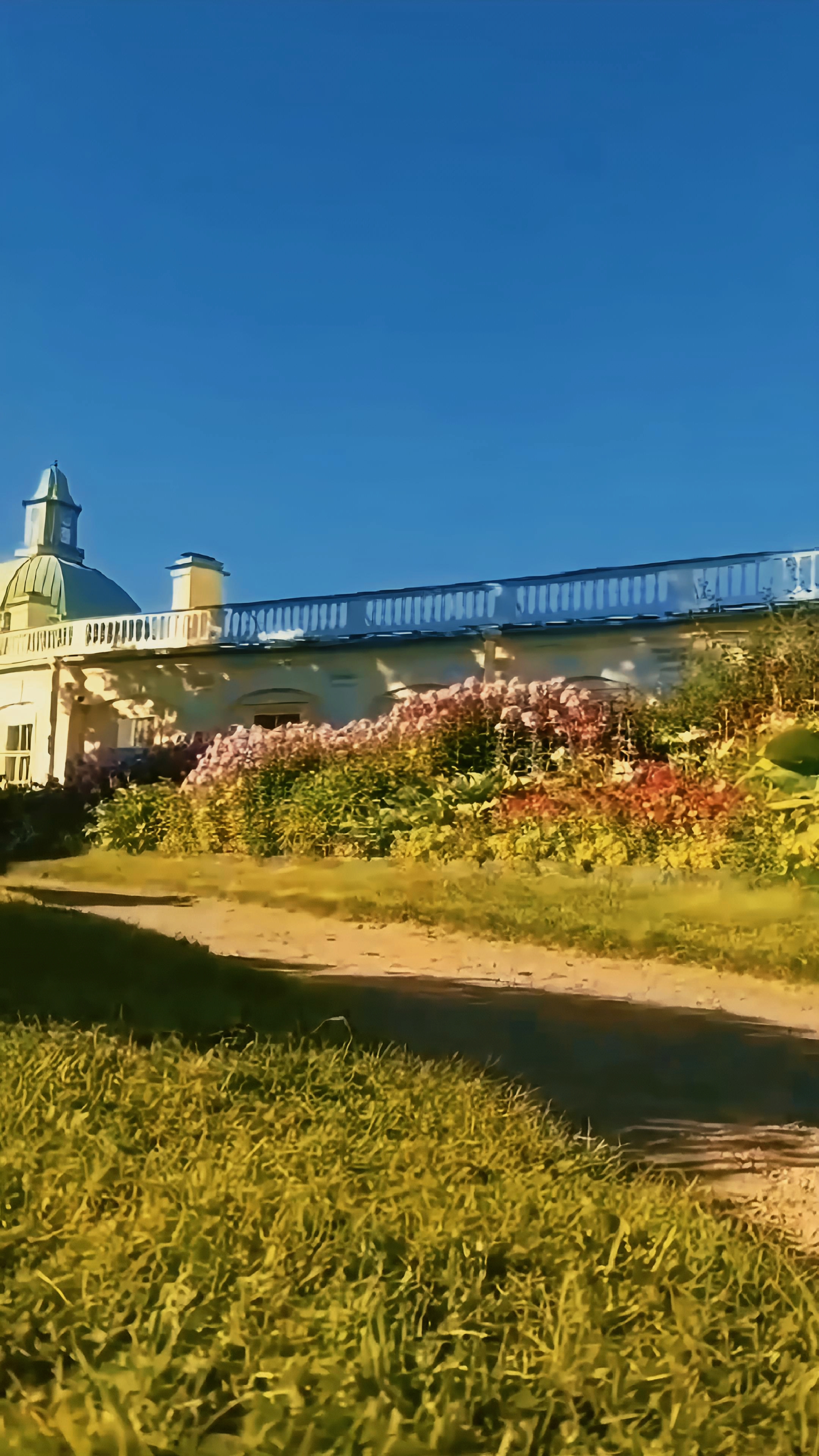 Летний день в парке города Ломоносов 