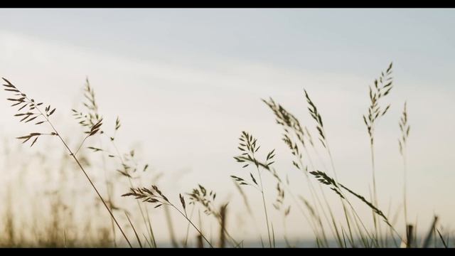 Медитация- настройка на успокоение и расслабление #медитация