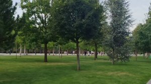 Английская леди рожает в единственном роддоме Псковской области. 31 июля 2026 года.