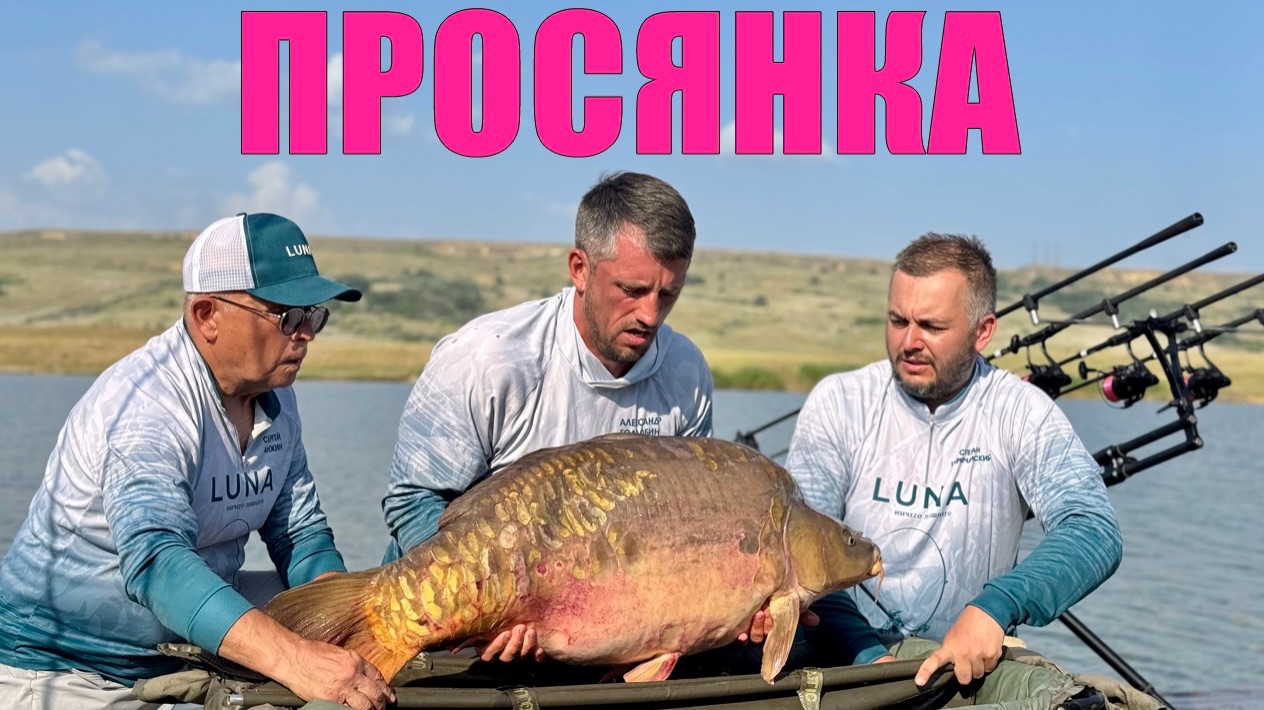 794 КГ КРУПНОГО КАРПА. ВЫИГРАЛИ ЗОНУ. Как ловить карпа на соревнованиях. Водоем Разлив (Просянка)