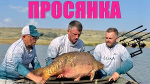 794 КГ КРУПНОГО КАРПА. ВЫИГРАЛИ ЗОНУ. Как ловить карпа на соревнованиях. Водоем Разлив (Просянка)