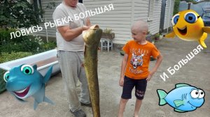 ИЮЛЬСКИЕ УЛОВЫ