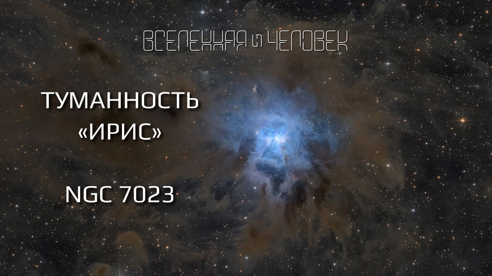Туманность «Ирис» — NGC 7023