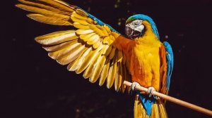 Обсуждение ТРИ ФАКТА Евангелия, которые устраняют самоправедность человека