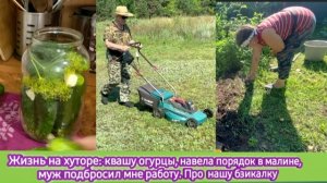 Жизнь на хуторе: квашу огурцы, навела порядок в малине, муж подбросил мне работу. Про нашу бзикалку