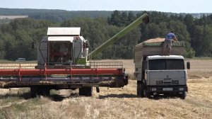 Народная программа «Единой России»: как в Зарайске развивается сельское хозяйство.