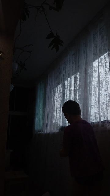 VID_20260731_190607.mp4