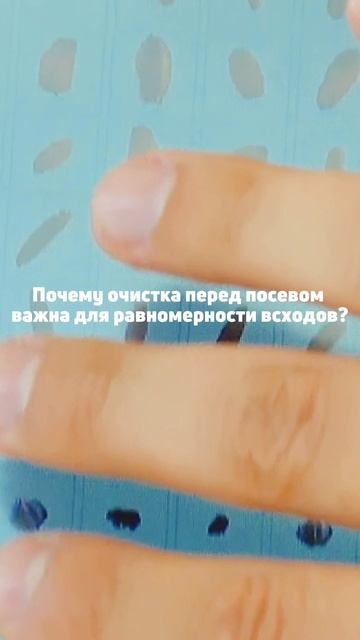 🌱 Почему очистка перед посевом важна для равномерности всходов?
