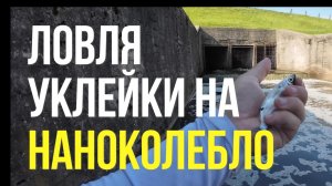 | Уклейка на нано колебалку + убойная приманка на окуня |