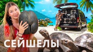 Страна, где всё решают женщины и растёт самый большой плод на Земле. Необычные Сейшелы