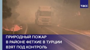 Природный пожар в районе Фетхие в Турции взят под контроль