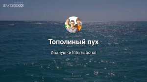 Иванушки International — Тополиный пух  | караоке EVOBOX