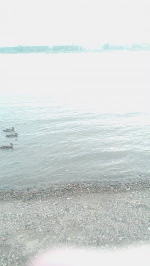 у моряков