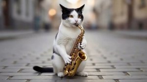 Кото-Стеб