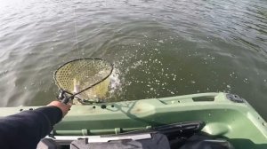 Рыбалка и кемпинг в море и реках японской сельской местности