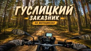 Лучший маршрут для ТУРЭНДУРО. Гуслицкий природный заказник. Внедорожный мото-тур.