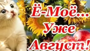 *** ДОБРОЕ УТРО ПЕРВОГО ДНЯ АВГУСТА! *** «СКОРО ОСЕНЬ,ГОСПОДА,СКОРО ОСЕНЬ» ***