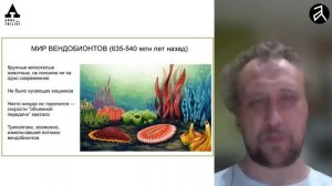 Михаил Никитин, Симха Борман: Аномалия или новая парадигма?