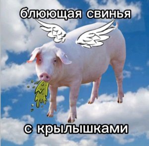 67