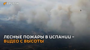 Полет сквозь дым: лесные пожары в Испании сняли на видео с вертолета