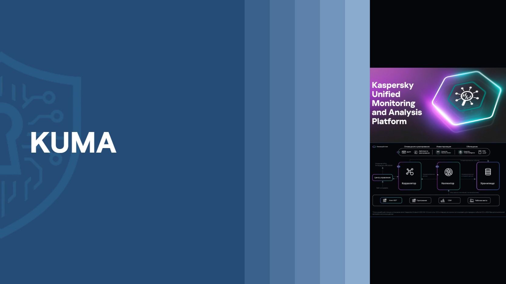 KUMA | Валерия Тучинова | ResearchLab