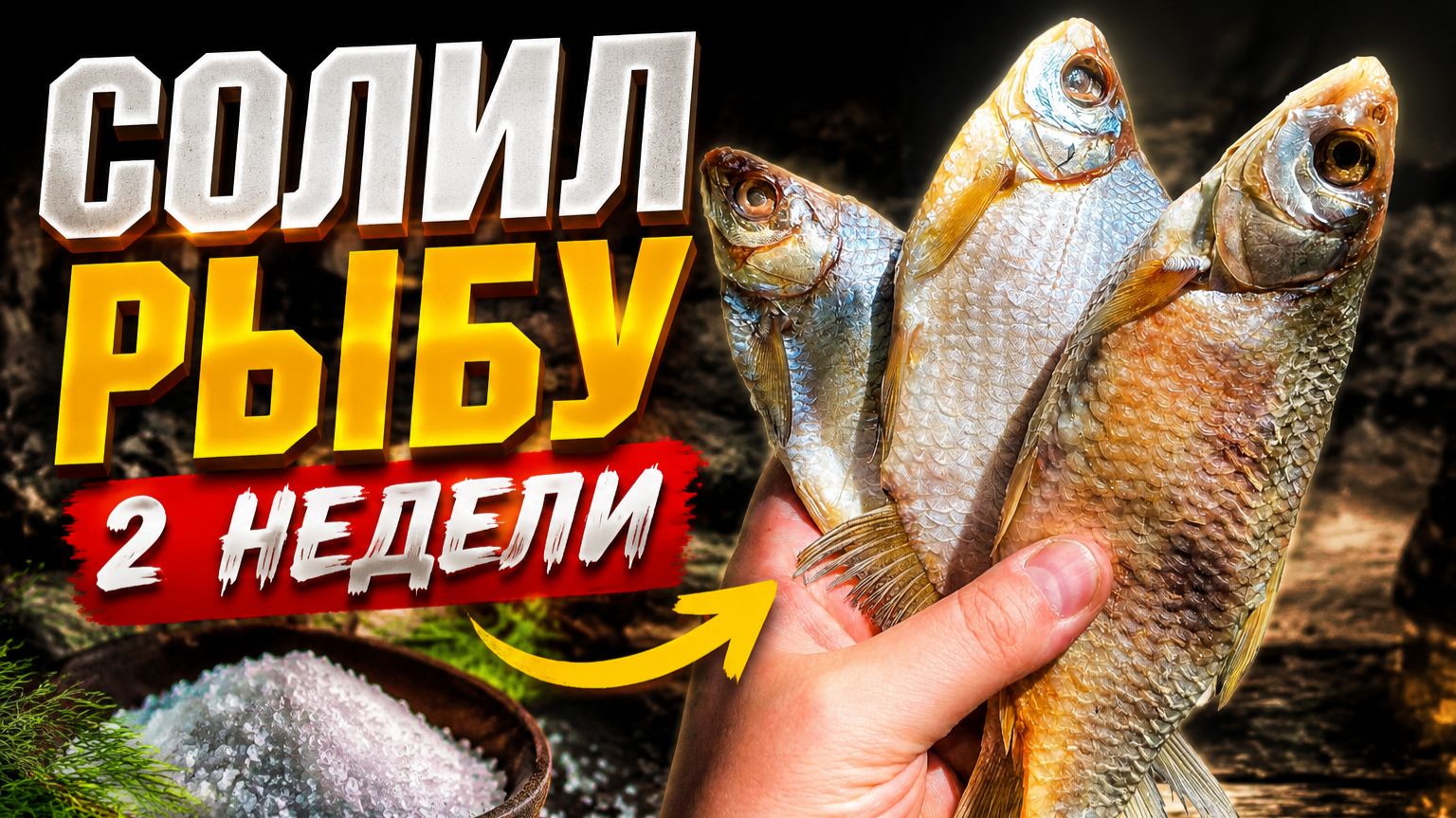 Что стало с рыбой за 2 недели? Засолка рыбы ч.2