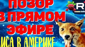 Позор в прямом эфире /Лиса в Америке Обзор