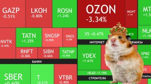 ⚡️31 июля ►5 месяцев коррекции подряд / Хомяк сдурел / Пришли дивиденды ► Рынок сегодня
